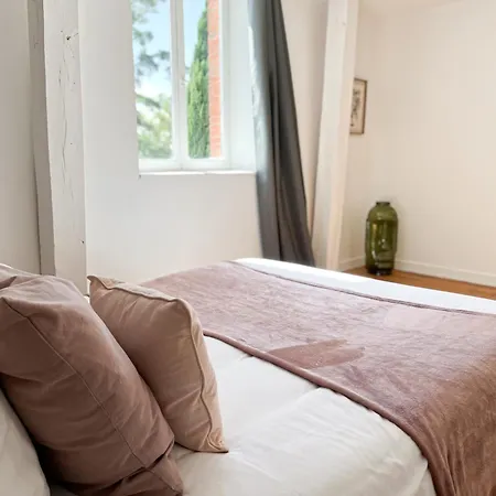Chateau Lamothe Bed & Breakfast Baziege