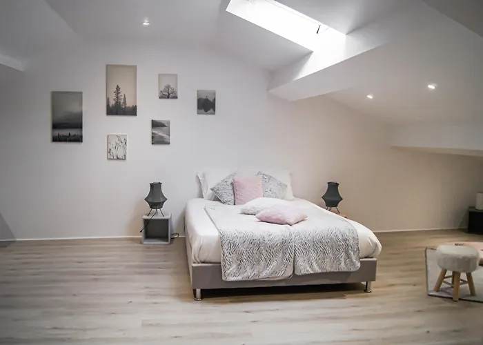 Chateau Lamothe Bed & Breakfast Baziege